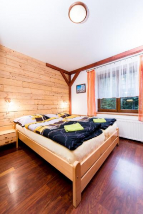 Apartmány Domino, Zelezná Ruda